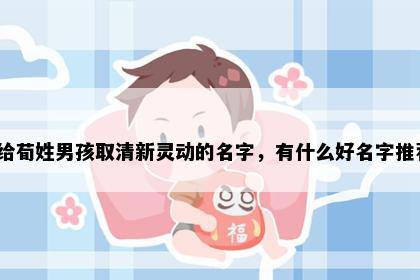 想给荀姓男孩取清新灵动的名字，有什么好名字推荐？