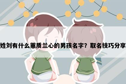 姓刘有什么蕙质兰心的男孩名字？取名技巧分享