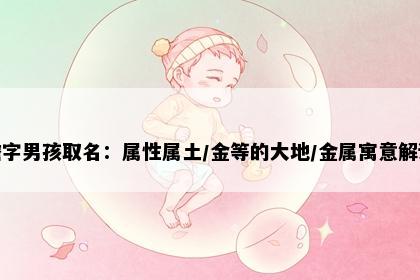 瞻字男孩取名：属性属土/金等的大地/金属寓意解读