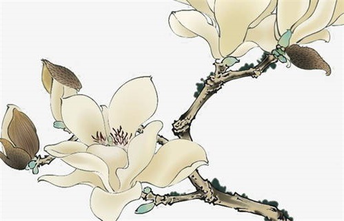 2026年02月07日(农历腊月二十)动土是否是黄道吉日 动土建房有没有问题? 2026年02月07日(农历腊月二十)动土是否是黄道吉日 动土建房有没有问题?