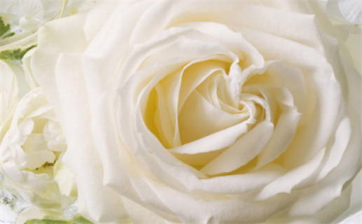 2026年03月25日(农历二月初七)结婚符不符合黄道吉日 今天办婚礼行不行