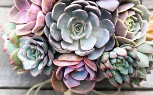 2026年02月22日(农历正月初六)结婚可不可以? 办婚礼是否是好日子?