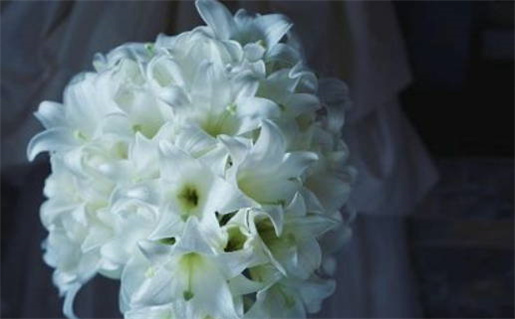 2026年02月09日(农历腊月廿二)领证合不合适? 登记结婚是好日子吗?