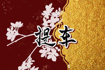 2026年03月08日(农历正月二十)提车是好日子吗？ 今天提新车行不行