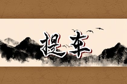 2026年01月17日提车合良辰吗？ 提车买车行吗？