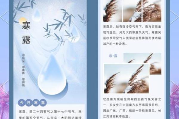 寒露节气的天文变化与养生调理