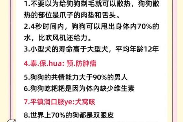 狗狗性格解析：破解狗字五行格局，掌握宠物心理奥秘