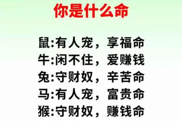 一牛二尾命理：解开命运密码，竟隐藏了这些未知的秘密