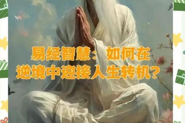 五伤命理中的命运密码，如何从挑战中找到转机