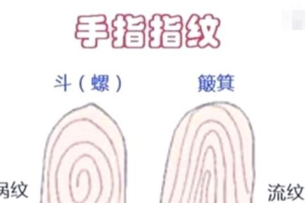 李泽楷的成功之路：如何通过八字破解命运密码