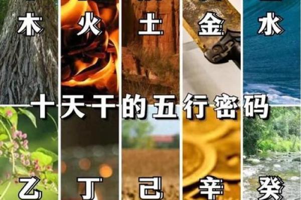 神秘五行格局：揭秘性格背后的成功密码与生活智慧