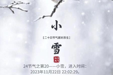 冬至夜长阳生：古人如何养生迎寒