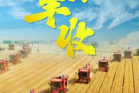 农历六月六与农业收成的深刻联系