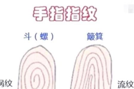 李泽楷的成功之路：如何通过八字破解命运密码