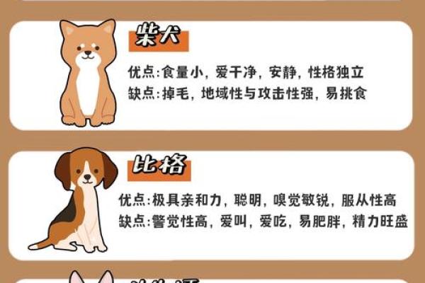 如何改变狗狗性格？五行格局调整秘籍大公开
