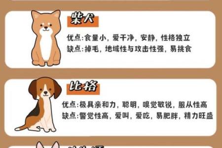 如何改变狗狗性格？五行格局调整秘籍大公开