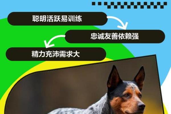 性格解析新视角：牧五行格局，揭秘你的内在潜力