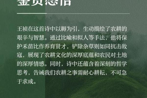 七月节日中的农耕智慧与生活哲学