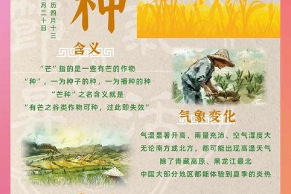 七月节日中的农耕智慧与生活哲学