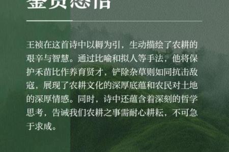 七月节日中的农耕智慧与生活哲学