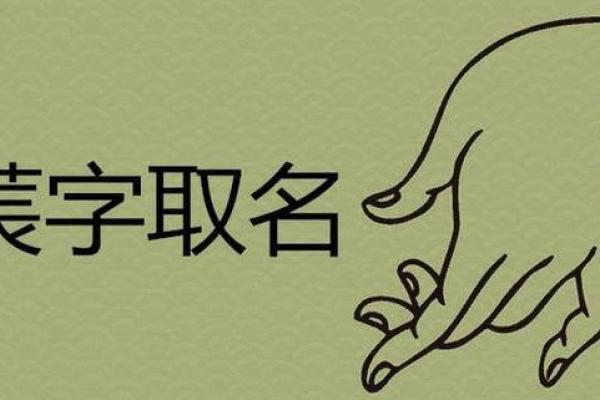 莀五行格局揭秘：性格解析中的神秘力量