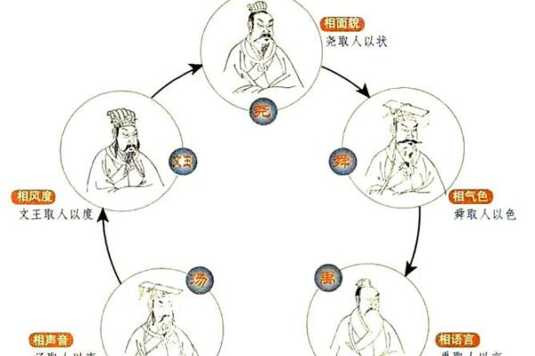 颠覆传统五行格局：丛五行性格解析，揭秘你的独特魅力
