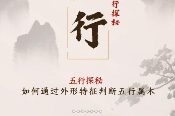 颠覆传统五行格局：丛五行性格解析，揭秘你的独特魅力