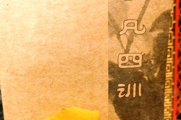 如何改变命运？沈朝合八字命理让你突破命运的束缚