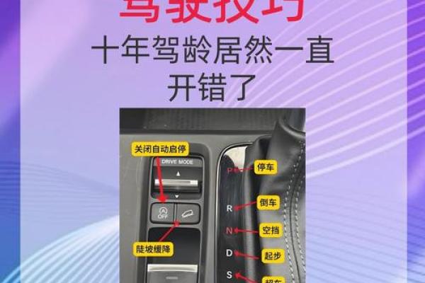 如何改变汽车五行格局？轻松提升驾驶运势指南