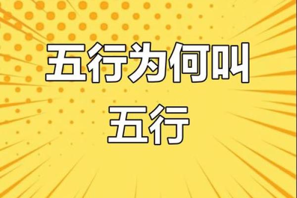 五行格局揭秘：性格解析新视角，颠覆传统认知