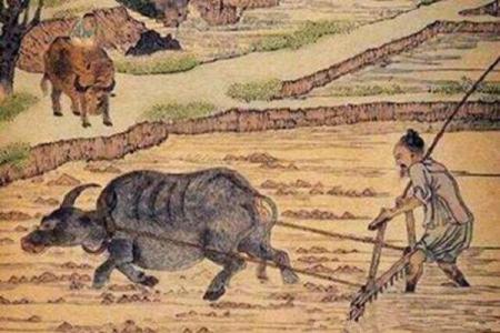 国庆节与古代农业祭典的联系揭秘
