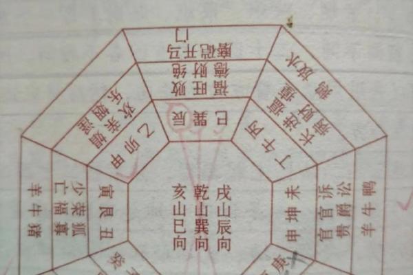 颠覆传统认知：堂五行格局如何让你的人生更精彩