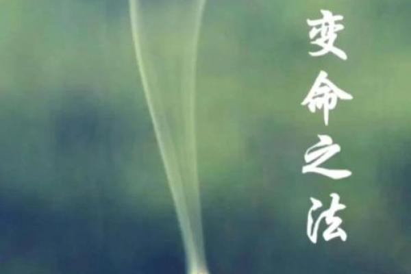 如何改变命运？珺的五行格局带你开启性格重塑之旅