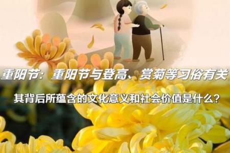 传统节日：重阳节登高赏菊的文化寓意