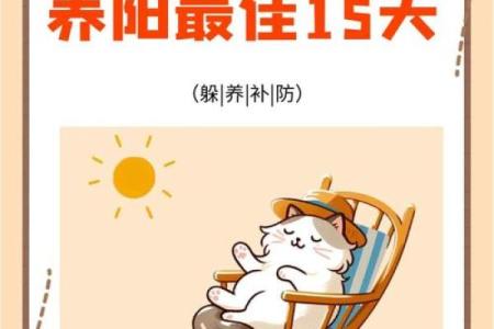 冬至节气与养生的传统智慧