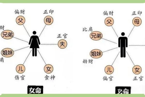 破解李治廷的命运密码：这些八字误区你避开了吗