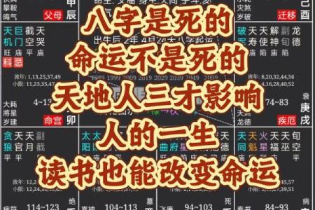 反而是佛教命理：如何通过理解八字真正改变命运
