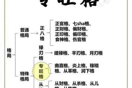 五行格局反而影响你？揭秘曹五行性格的隐藏规律
