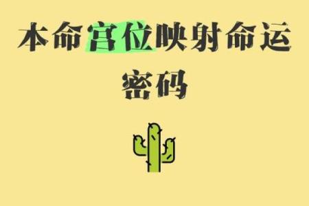 解读命运密码：如何利用八字年份打破命运枷锁