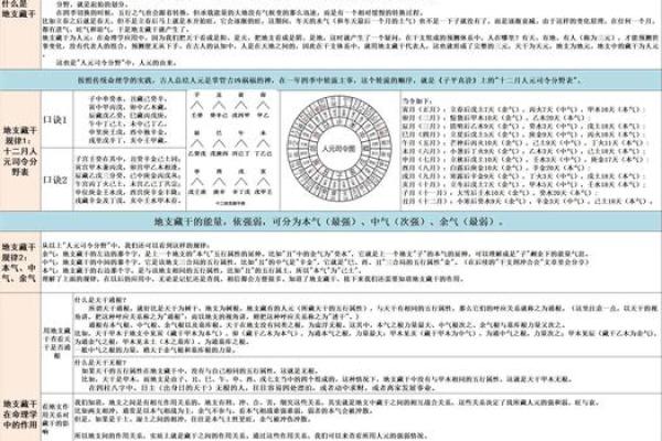 颐卦命理：暗藏玄机，如何破解命运密码