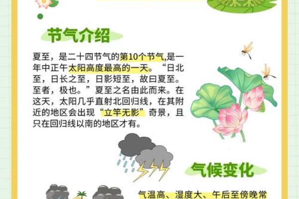 夏至节气：古人如何应对炎热与长日的挑战