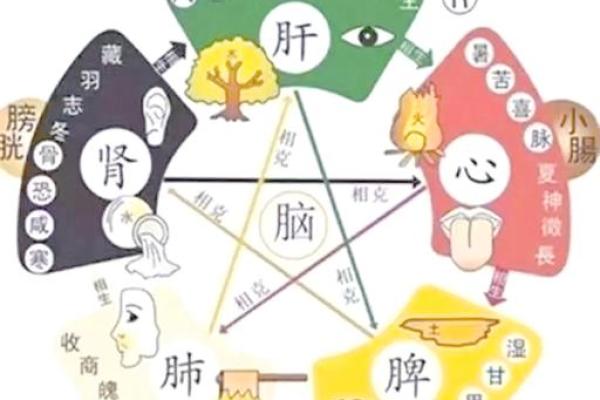 五行格局性格解析：揭秘你的天赋与弱点，如何巧妙调整？