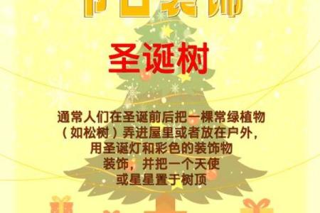 圣诞节的文化传承与养生理念