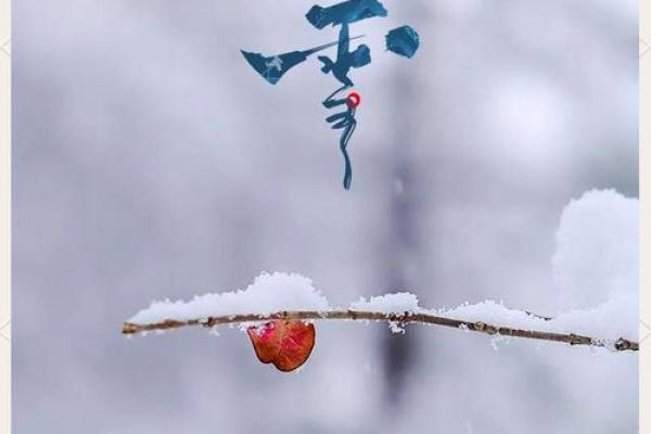 小雪节气：从天象看寒冷气候的变化