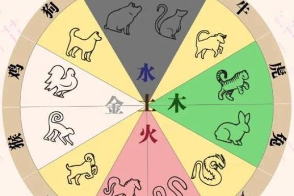 五行性格解析实用技巧：轻松掌握你的命运密码