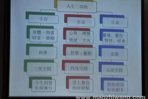 庆祝生命与大自然：蒙古族传统养生节的奥秘