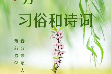 春分养生与农耕智慧：传统节日背后的天文与习俗