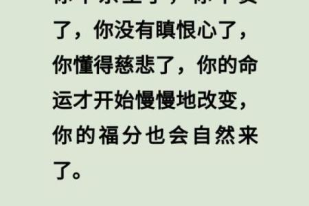 颠覆常规认知：八专日命理如何反而改变你的人生轨迹
