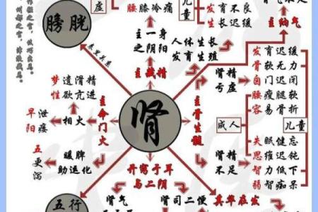 颠覆传统五行观：性格解析新视角，你的五行格局反而可能是优势