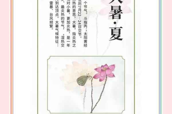 七月：小暑大暑—夏季养生与天文变化